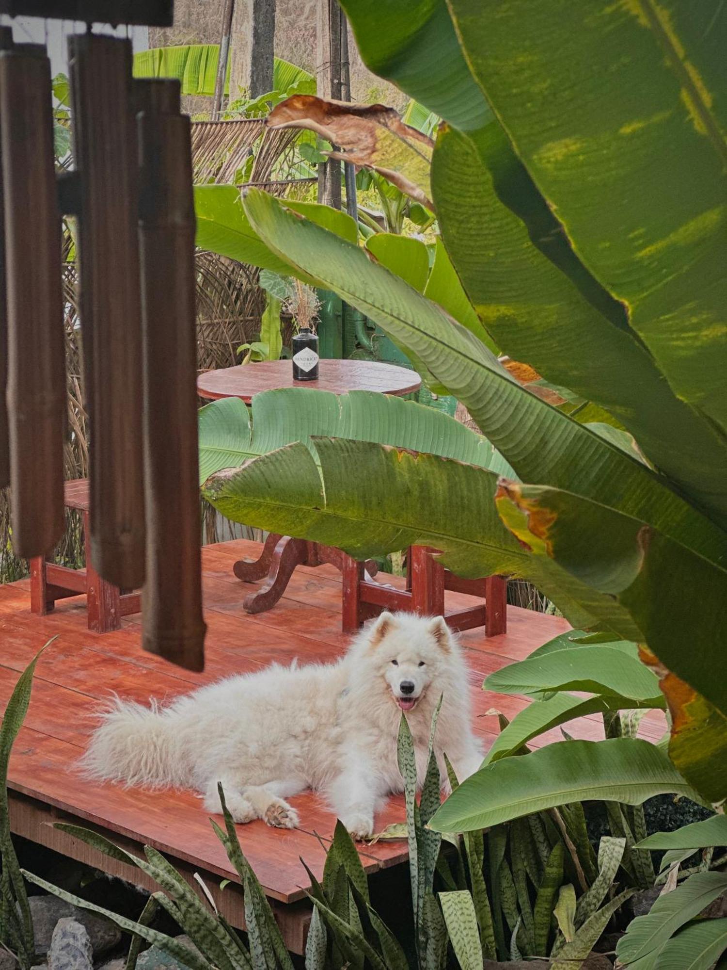 Casa Luz - Fernando De Noronha Hotel Luaran gambar